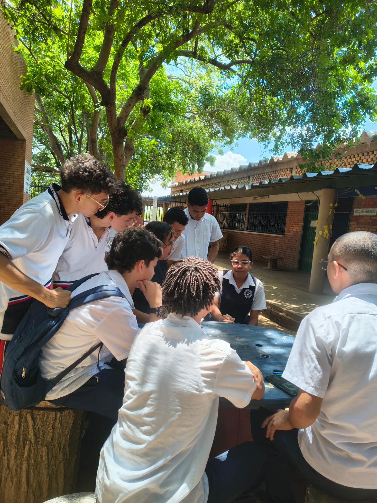 Imagen 3 del proyecto