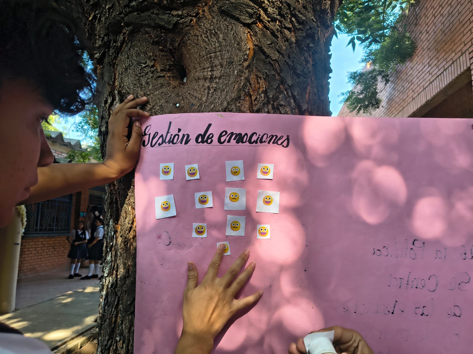 Imagen 4 del proyecto